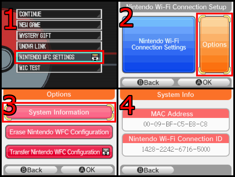 DS/Lite MAC Address location