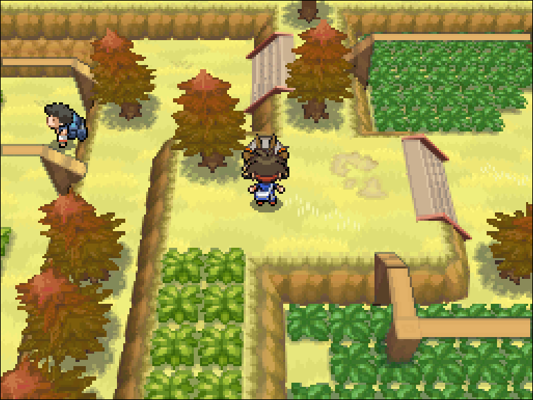 Saved in front of Terrakion